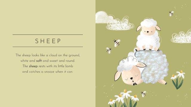 Sassi Touch & Feel Pocket Book - Animals