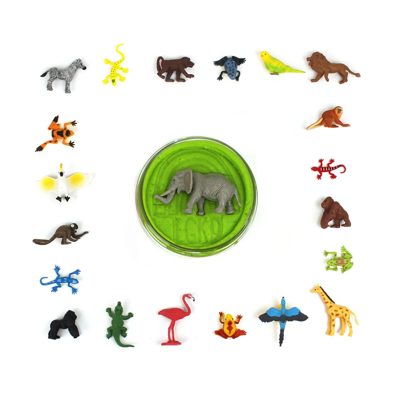 Hidden Surprise - Wild Animal