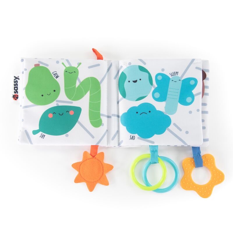 Rainbow of Emotions Book