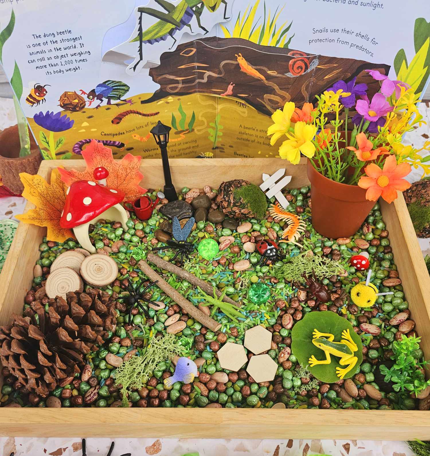 Garden Bugs Sensory Play Kit